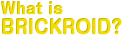 What is BRICKROID?